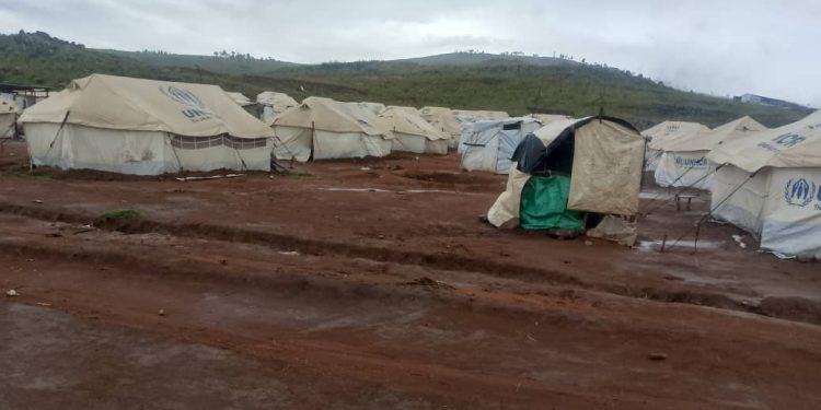 Retour volontaire de réfugiés congolais depuis Busuma