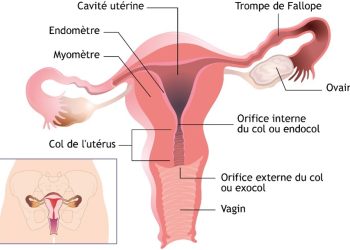 Campagne de vaccination contre le cancer du col de l’utérus : plus de 197 000 filles attendues en province de Butanyerera