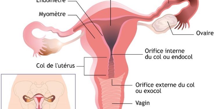 Campagne de vaccination contre le cancer du col de l’utérus : plus de 197 000 filles attendues en province de Butanyerera