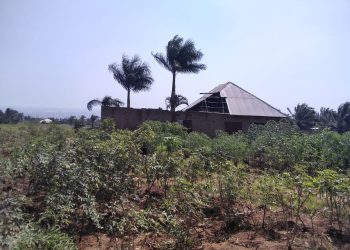 À quand le décret d’exploitation des terrains se trouvant dans les 160 hectares du périmètre de la présidence à Gasenyi ?