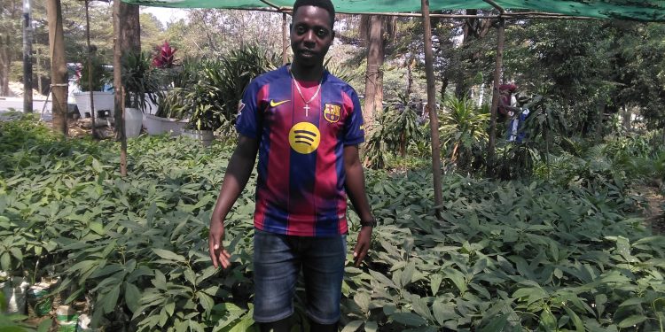 Kubangurira imivyaro y’ivyamwa biriko birijukirwa mu gisagara ca Bujumbura