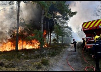 Umuriro wadutse mu kibira ca Fontainebleau urateye uruhagarara