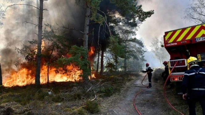 Umuriro wadutse mu kibira ca Fontainebleau urateye uruhagarara