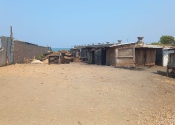 Lac Tanganyika : l’arrêt de la pêche met les activités économiques au ralenti