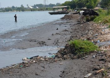Lacs du Burundi : l’urgence de sauver une richesse menacée par la pollution