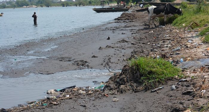 Lacs du Burundi : l’urgence de sauver une richesse menacée par la pollution
