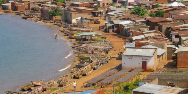 Une fillette de 9 ans tuée par un crocodile sur les rives du lac Tanganyika