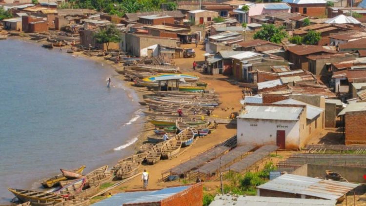 Une fillette de 9 ans tuée par un crocodile sur les rives du lac Tanganyika