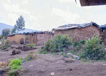 Rwibaga: imiryango y’abatwa iba mu mazu y’ivyatsi ifise impungenge mu gihe c’imvura yimirije