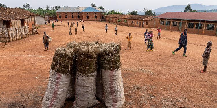 Ntega : Abanyagihugu bafise ubwoba bw’inzara kubera imvura yatevye kurwa nayo amazi munzuzi akaba yarakamye