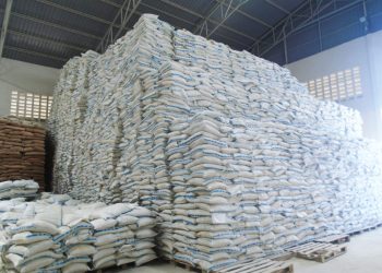 Burundi : l’importation des engrais chimiques autorisée sous conditions, la société civile dénonce un risque d’oligopole
